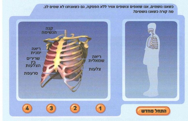 (בספר תרשים - היעזר במורה)